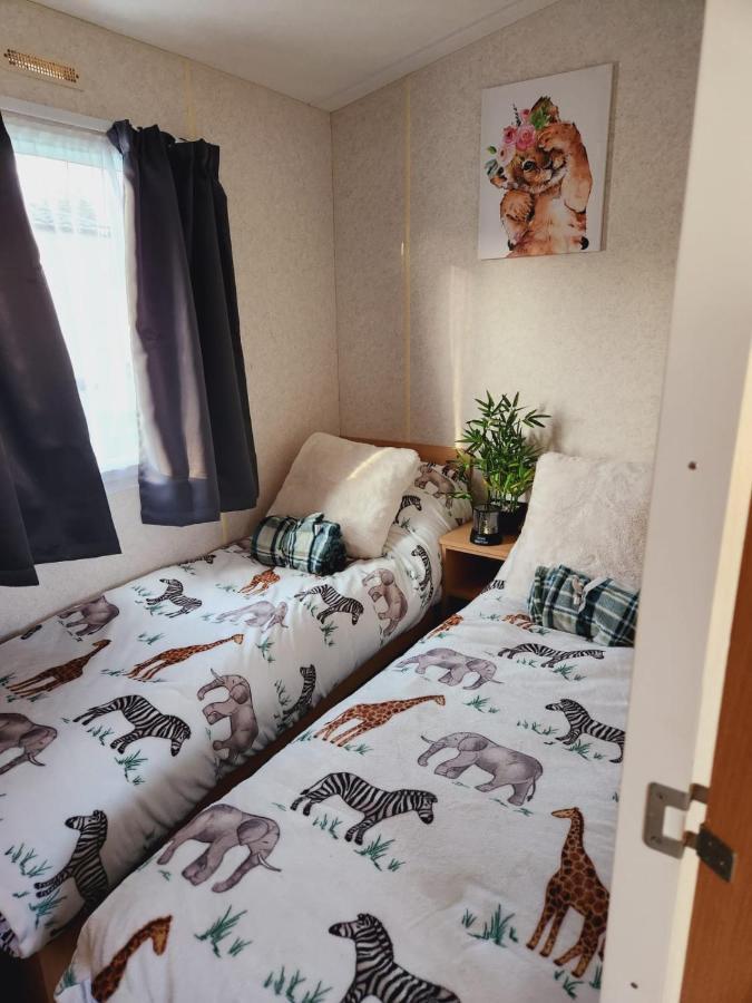 מלון ריל Comfy Caravan On Marine Park מראה חיצוני תמונה